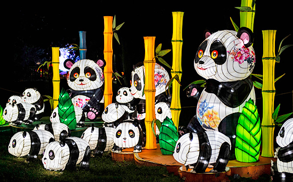 精品立體卡通彩燈制作